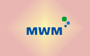 ✓ MWM 0336 0132 Запчасть MWM 